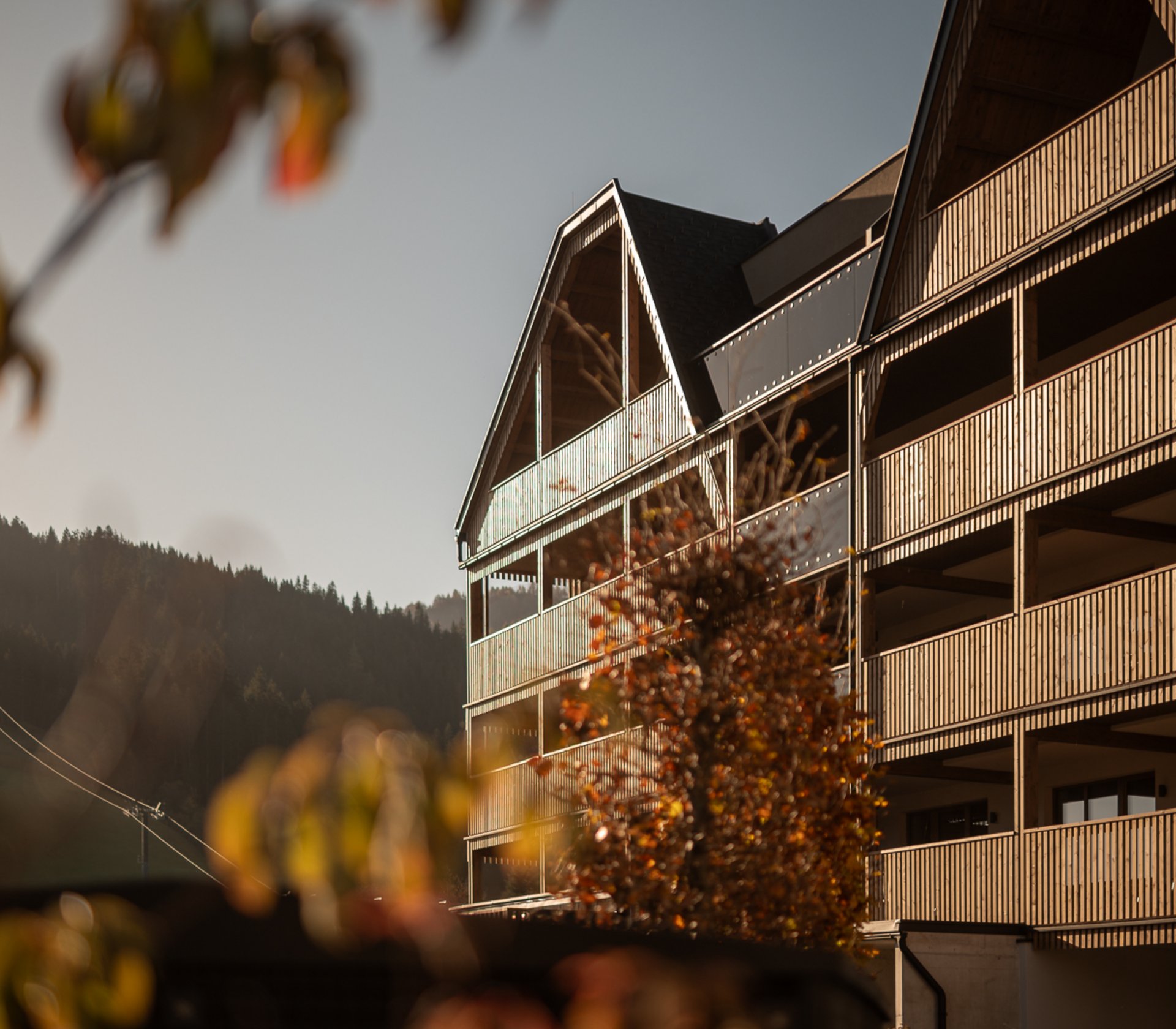 ADEA Lifestyle Suites Fieberbrunn